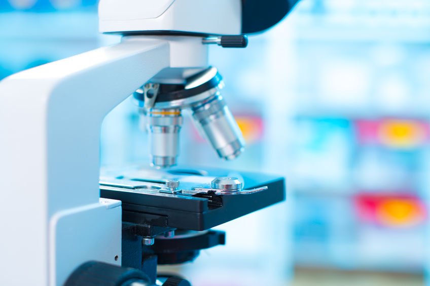 Malarial Antigen PCR